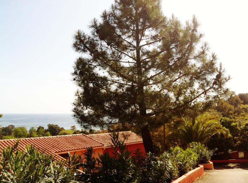 Hotel Residence San Pieru Tarcu ภายนอก รูปภาพ