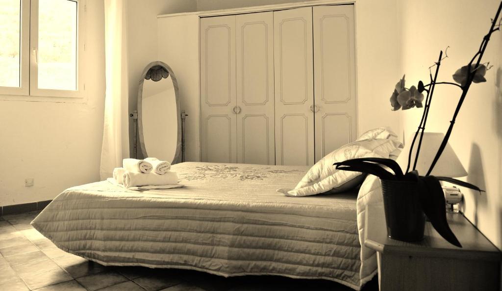 Hotel Residence San Pieru Tarcu ภายนอก รูปภาพ