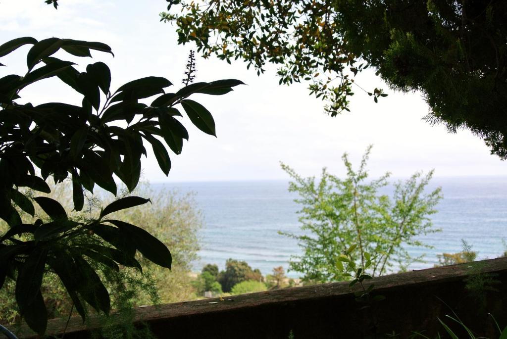 Hotel Residence San Pieru Tarcu ภายนอก รูปภาพ