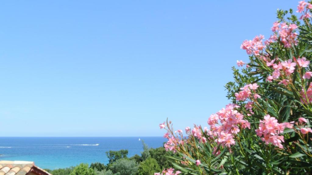Hotel Residence San Pieru Tarcu ห้อง รูปภาพ