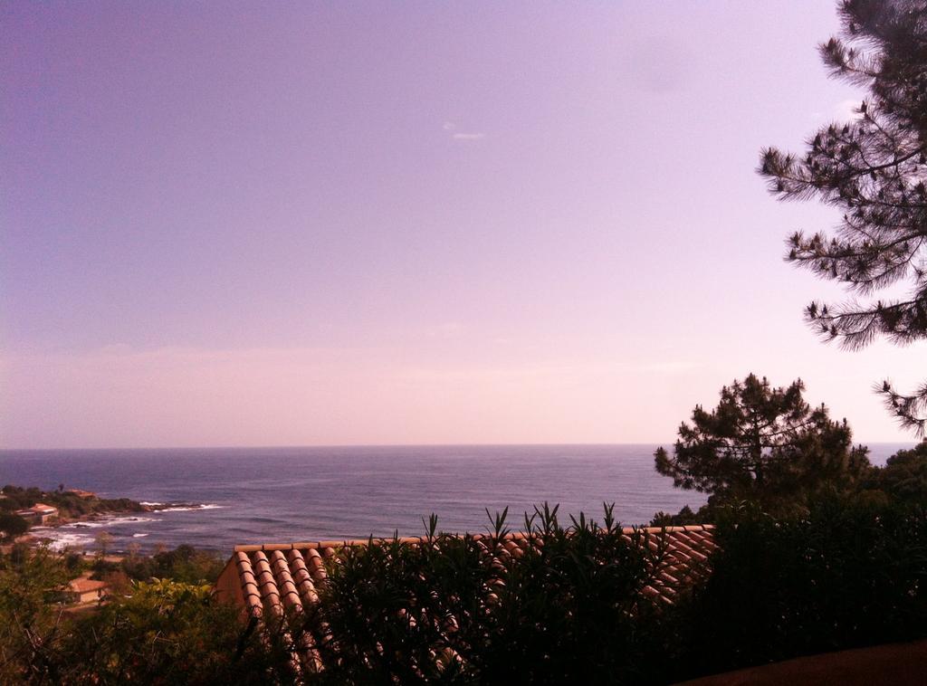 Hotel Residence San Pieru Tarcu ภายนอก รูปภาพ